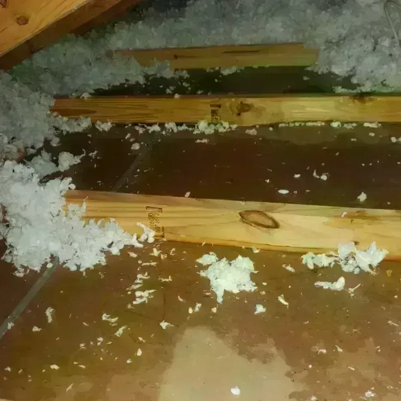 Attic Water Damage in Grady County, OK