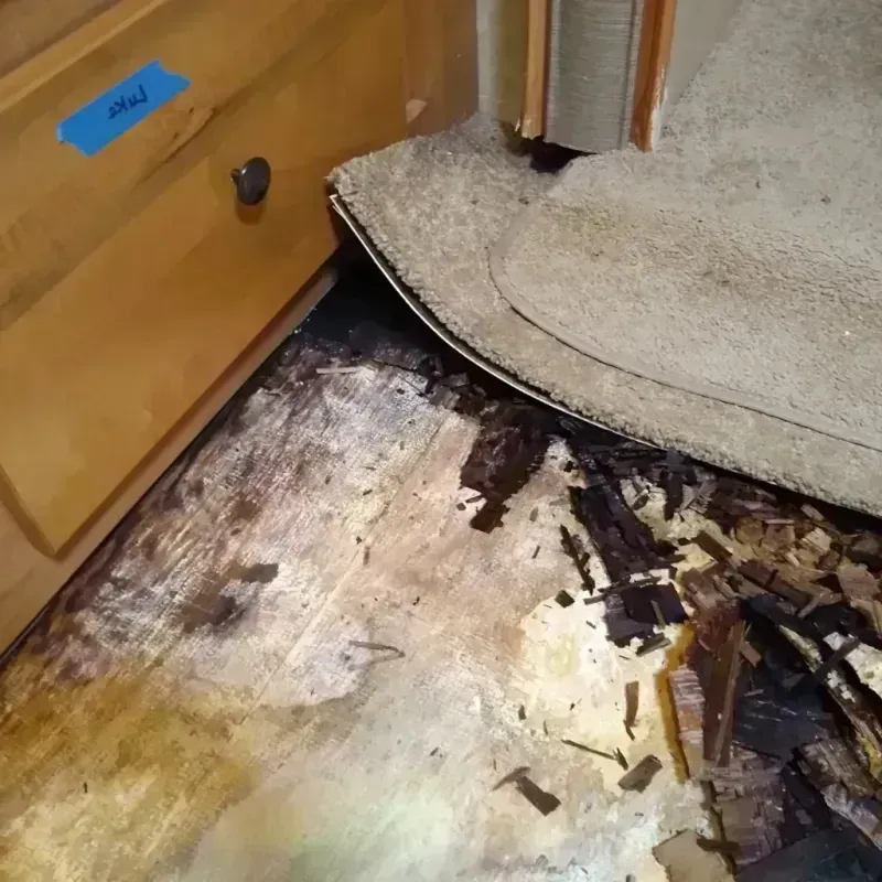 Wood Floor Water Damage in Grady County, OK